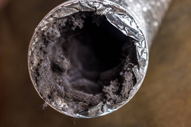 Best Best Air Duct Cleaning Near Me  in Bensville, MD